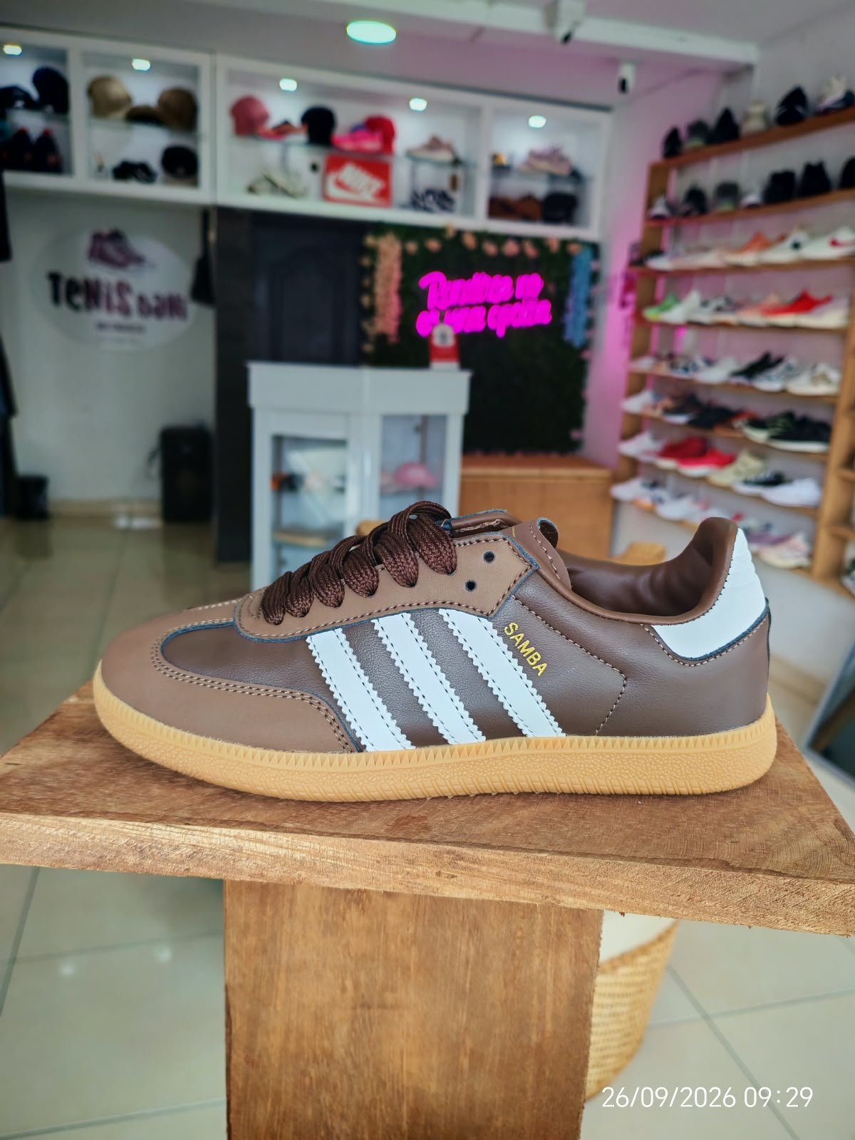 Tenis Dani