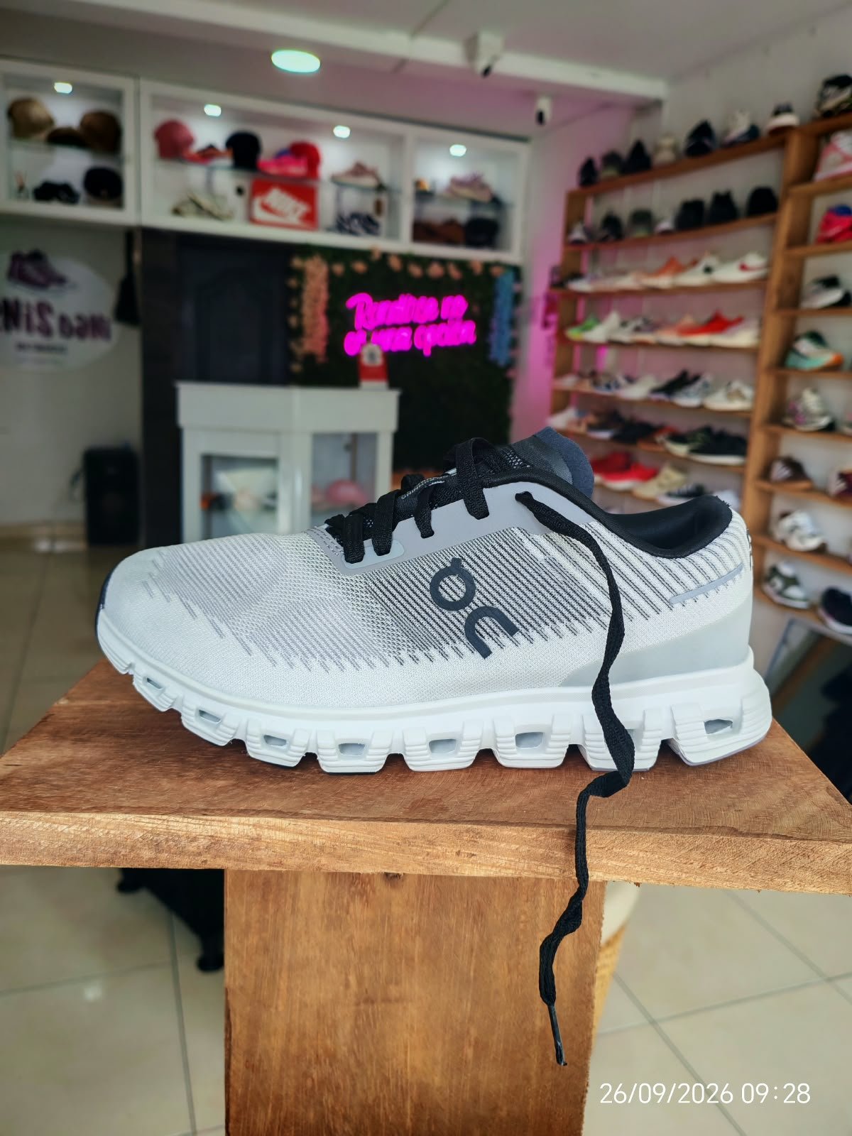 Tenis Dani