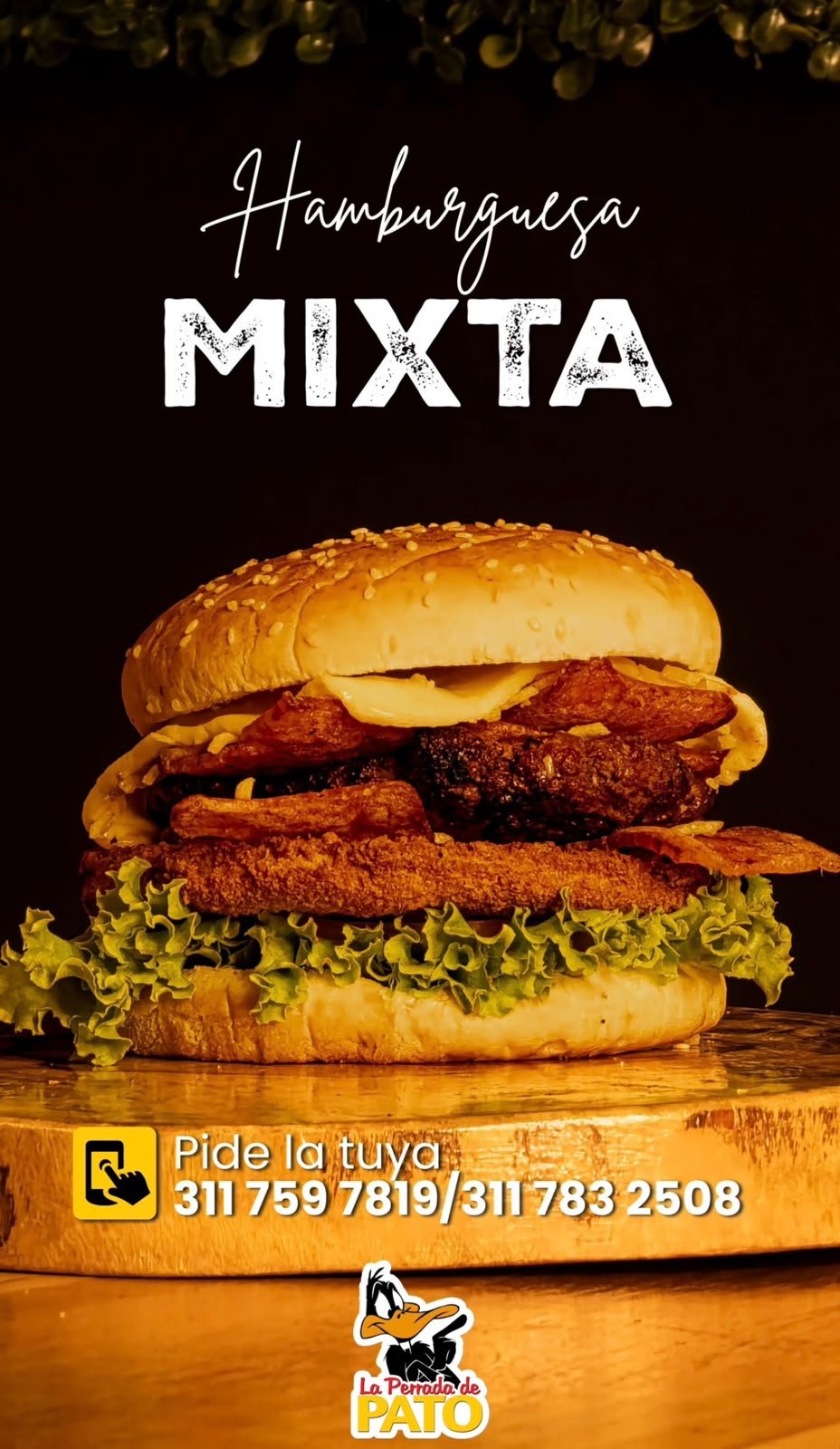 Hamburguesa Mixta